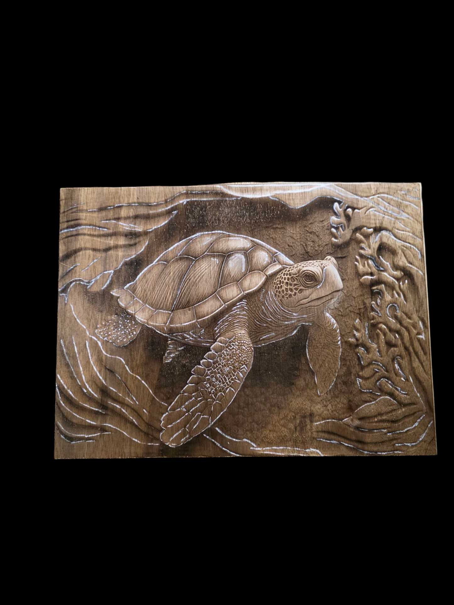 Seaturtle